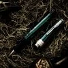Pineider Arco Desert Beetle Rollerball Pen, Green & Black -Monteverde Shop APC 0832 scaled